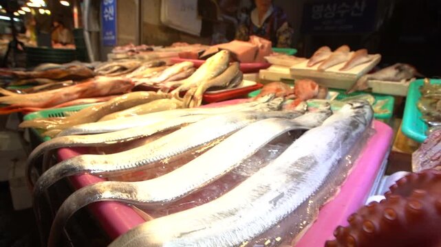 Fresh Seafood Display at Korean Traditional Market - K-푸드 식재료가 가득한 한국 전통시장의 신선한 수산물