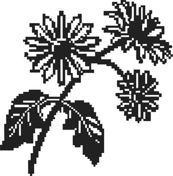 Stylized pixel art chrysanthemum flowers with leaves retro monochrome floral illustration, minimal digital blossom graphic design
