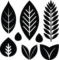 Fototapeta premium black and white leaves