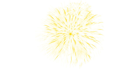 Obraz premium Dazzling Golden Yellow Fireworks Burst Illuminates Dark Night Sky Celebration Joyful Festive Event Spectacular Light