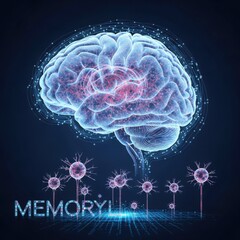 Neurological illustration depicting memory connections and brain activity