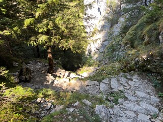 Wandern in den Bergen