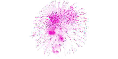 Vibrant pink magenta fireworks light up night sky Festive celebration joyful pyrotechnic display exciting party event