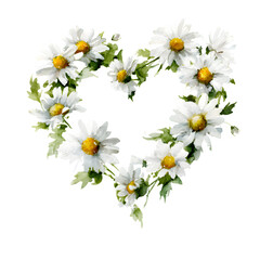Daisy Heart Frame, isolated on white background and isolated on transparent background
