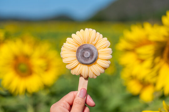 Sunflower Sweetness - Powered by Adobe