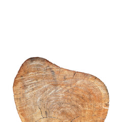 cross section of tree trunk,Solid brown wood and empty space.