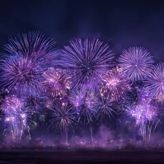 Celebration of Light: A vibrant display of fireworks illuminates the night sky, painting a spectacular canvas of color and wonder. A mesmerizing experience.