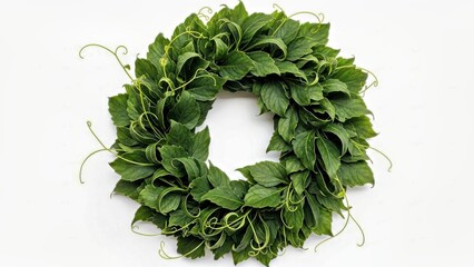 WREATH WITH DEEP GREEN LEAF CURLS AND HIGH DETAIL, ON WHITE