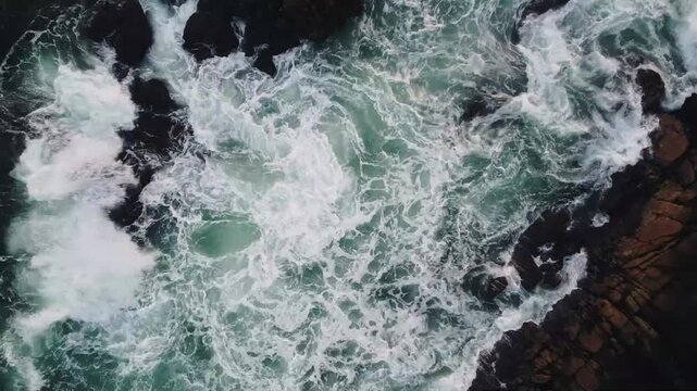 Top view of ocean waves crashing against a rocky coastline with palm trees in Mirissa, Sri Lanka