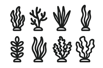 Fototapeta premium Set of eight dark outline icons of seaweed and coral