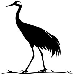 Obraz premium Silhouette of Crane Standing on Grass