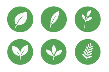 Collection of Six White Leaf Icons on Green Circles © Alan