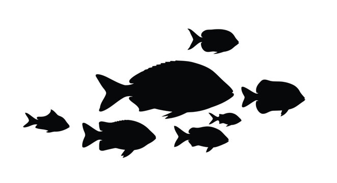 Seven black fish silhouettes on white background vector