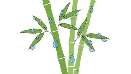 Bamboo stalks with leaves and water droplets