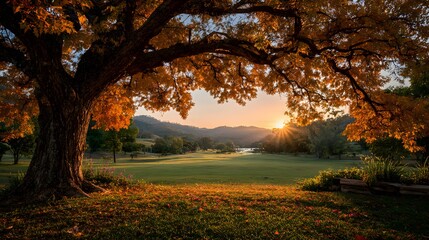 Vibrant autumn park scene features a large tree with golden leaves framing a green field as the sun sets over distant hills in warm light.