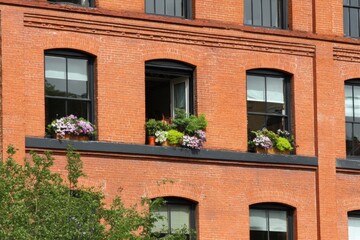 Obraz premium People can see colorful planters with flowers outside the window of a brick building in the daytime