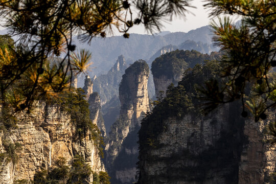 View of towering sandstone pillars pierce the sky, shrouded in mist and framed by dark foliage, creating a scene of ethereal beauty, Zhangjiajie, Hunan, China.