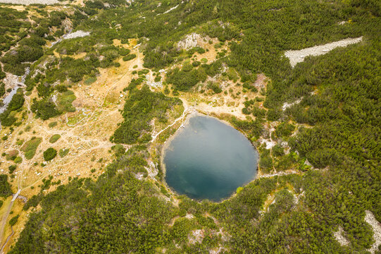 Aerial view of a serene lake nestled amidst the vibrant green forests and rugged terrain of the Pirin Mountains, Bansko, Bulgaria.