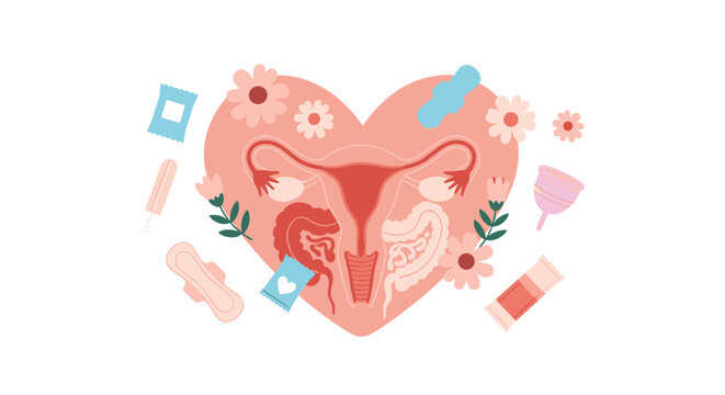 Female reproductive system inside a heart shape surrounded by hygiene products like pads, tampons, and menstrual cups for women health.