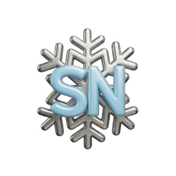 A stylized snowflake graphic with the letters SN in the center