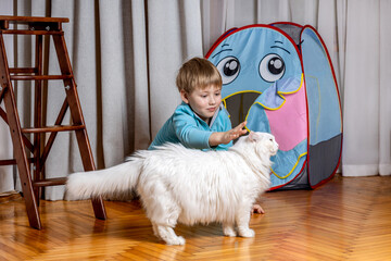 Five-year-old boy playing with white Angora cat at home