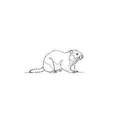 Fototapeta premium Illustration of a beaver isolated on transparent background