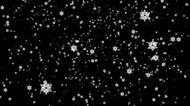 Falling Snowflakes on Black Background for Winter and Christmas.