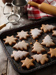 Freshly baked gingerbread cookies shaped as stars and trees dusted with powdered sugar on a baking tray
