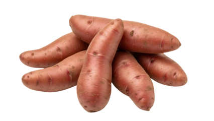 Pile of red fingerling potatoes isolated PNG, small and elongated tubers with smooth skin on transparent background