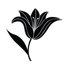 Elegant Lily Flower Design For Botanical Art And Floral Arrangements