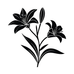 Elegant Lily Floral Design, Botanical Artwork, Black Silhouette