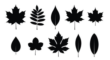 Fototapeta premium Collection of black leaf silhouettes on white background vector