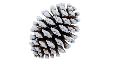 Close up of a pine cone with snow on it isolated on transparent background