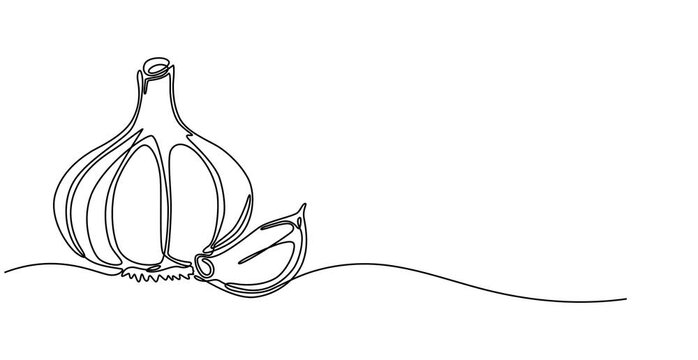Animated self drawing of Continuous Line Drawing Of Garlic & Parsley On A Transparent background, Abstract garlic head and clove, continuous single one line art hand drawing sketch logo, Continuous on
