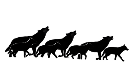 A group of people in a dark setting with unclear features and activities