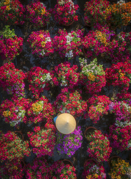 Aerial view of a person wearing a traditional conical hat amidst vibrant flower arrangements in a bustling market, Mekong Delta, Mekong Delta, Vietnam.