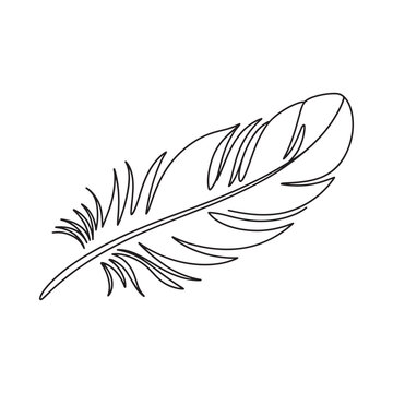 A delicate black and white line drawing of a single feather illustration