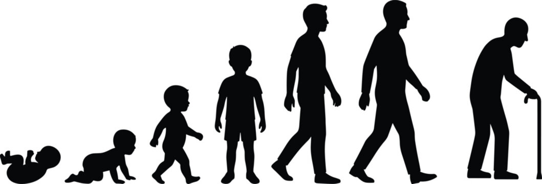 Silhouette, of, male, life, cycle, stages, from, newborn, baby, to, crawling, toddler, child, boy, teenager, adult, man, senior, elderly, evolution