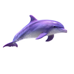 Dolphin swimming isolated on white background with ocean animals and marine life elements