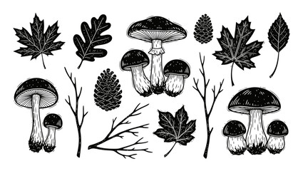 Linocut Forest Mushroom Set Engraving Scandinavian Leaf Cones Twig Black Print Collection © SHEULI
