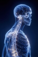 Transparent Human Skeleton with Glowing Neural Connections in Dark Background