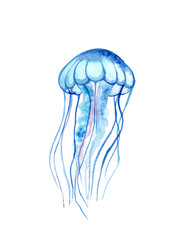 Blue Watercolor Jellyfish Illustration
