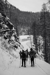 Snow covered forest with hikers