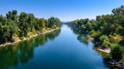 Fototapeta premium Serene River Flowing Through Lush Green Forest Under a Clear Blue Sky.