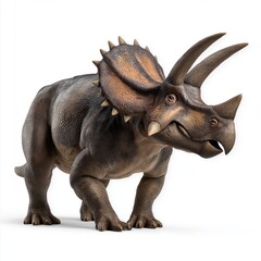 Fototapeta premium Realistic Triceratops Dinosaur 3D Model on White