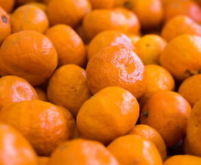 apetitic juicy farm mandarins at market counter