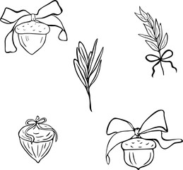 vector illustration of a set of floral elements, Cute  Acorns with Bows