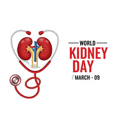 Realistic illustration of human kidneys with a stethoscope and kidney day text on transparent background