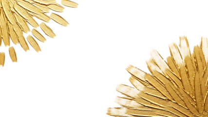 Golden dandelion seed heads with fluffy parachutes isolated floral element on transparent background