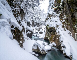 Deep canyon with a flowing river and heavy snow cover